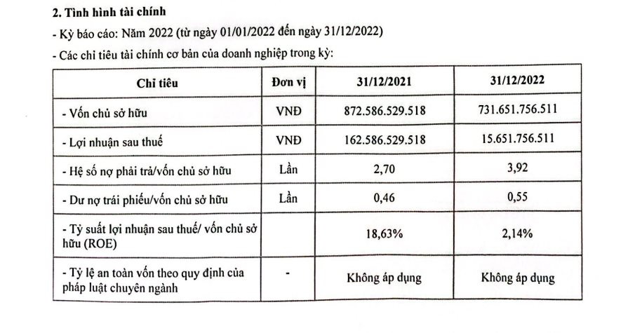 Lợi nhuận Hải Phát Land giảm mạnh trong năm 2022, nợ phải trả cao gấp gần 4 lần vốn chủ sở hữu - Ảnh 1.