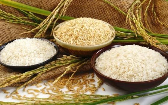 Giá lúa gạo hôm nay 22/3: Ổn định ở mức cao