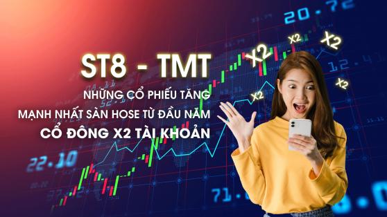 ST8 - TMT, những cổ phiếu tăng mạnh nhất sàn HOSE từ đầu năm, cổ đông X2 tài khoản