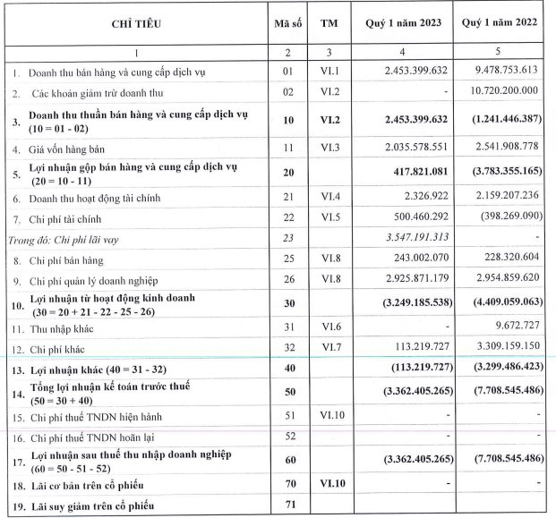 Một doanh nghiệp bất động sản đầu tư chứng khoán lỗ đậm với SJS, tiền mặt chỉ còn vài trăm triệu đồng - Ảnh 1.