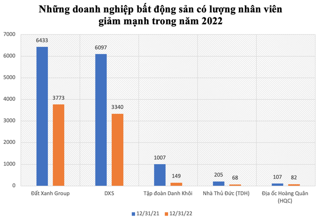 Doanh nghiệp địa ốc: Nhiều người 'ngồi chơi', có nơi 'bay' cả nghìn lao động - Ảnh 1.