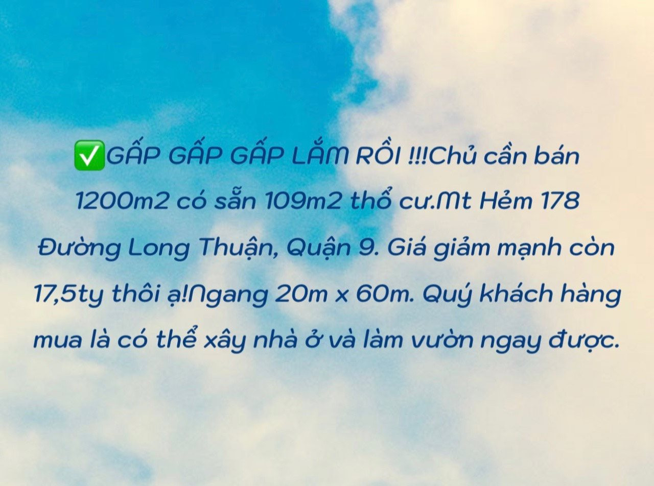 Chốt 3 giao dịch trong 3 tuần, môi giới đất nền như “sống lại” giữa mùa khô hạn - Ảnh 1.