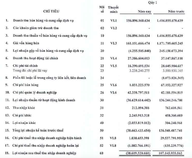 Đơn hàng sụt giảm, Gilimex (GIL) báo lỗ kỷ lục 39 tỷ đồng trong quý 1/2023 - Ảnh 1.