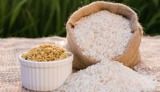 Giá lúa gạo hôm nay 3/4: Đi ngang phiên đầu tuần