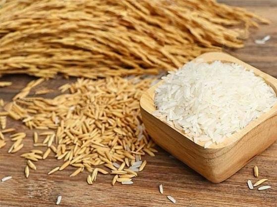 Giá lúa gạo hôm nay 24/4: Tăng ở một số địa phương