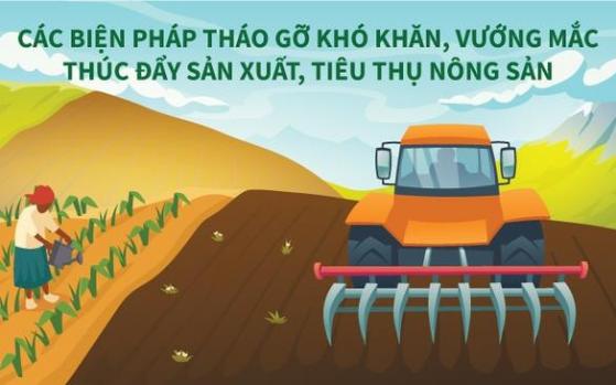 Infographic: Giải pháp thúc đẩy sản xuất, tiêu thụ nông sản