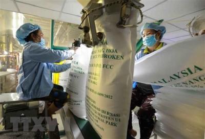 Nhu cầu tăng, xuất khẩu gạo Việt Nam kéo dài đà tăng trưởng