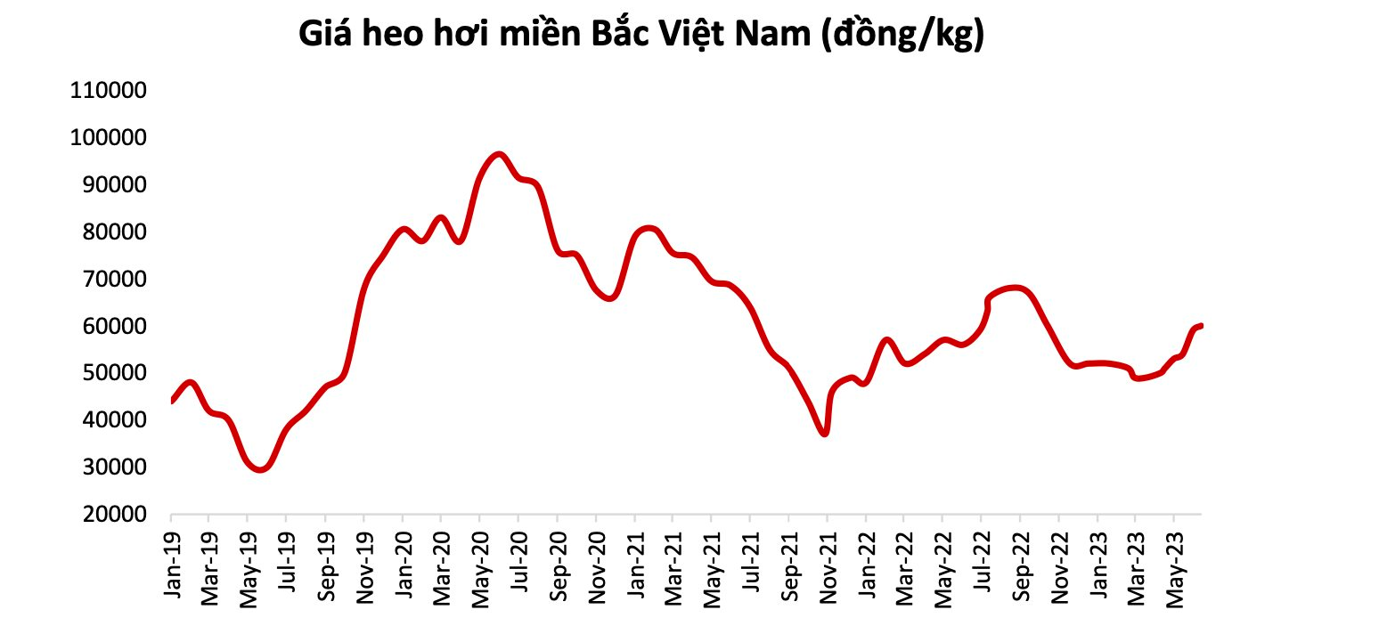 Giá hàng hóa dự báo biến động mạnh trong nửa cuối năm, cổ phiếu ngành nào hưởng lợi? - Ảnh 5.