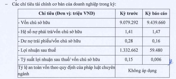 Chủ đầu tư dự án Gem Sky World Đồng Nai báo lãi giảm tới 95% trong năm 2022, nợ gần 14.000 tỷ đồng - Ảnh 2.