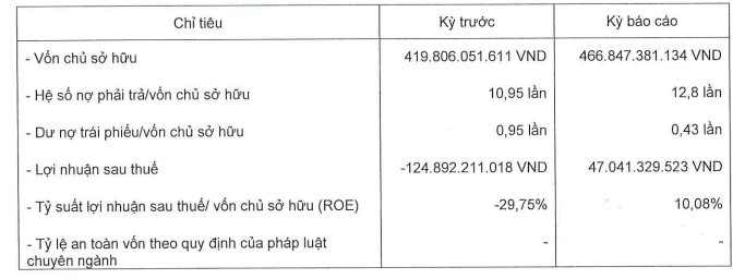 Công ty con của Novaland có nợ phải trả gấp gần 13 lần vốn chủ sở hữu - Ảnh 1.