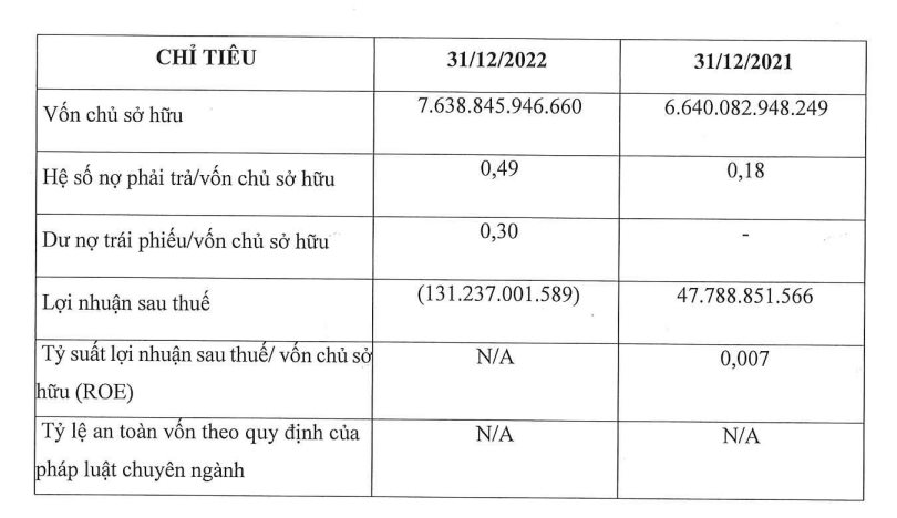 Công ty con của Novaland báo lỗ 131 tỷ năm 2022, phát sinh dư nợ trái phiếu gần 2.300 tỷ - Ảnh 1.