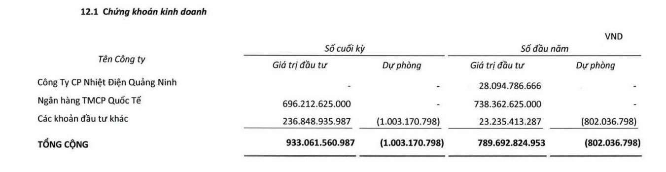 VN-Index lên cao nhất 10 tháng, loạt doanh nghiệp &quot;tay ngang&quot; đem tiền đầu tư chứng khoán &quot;thở phào&quot; - Ảnh 7.