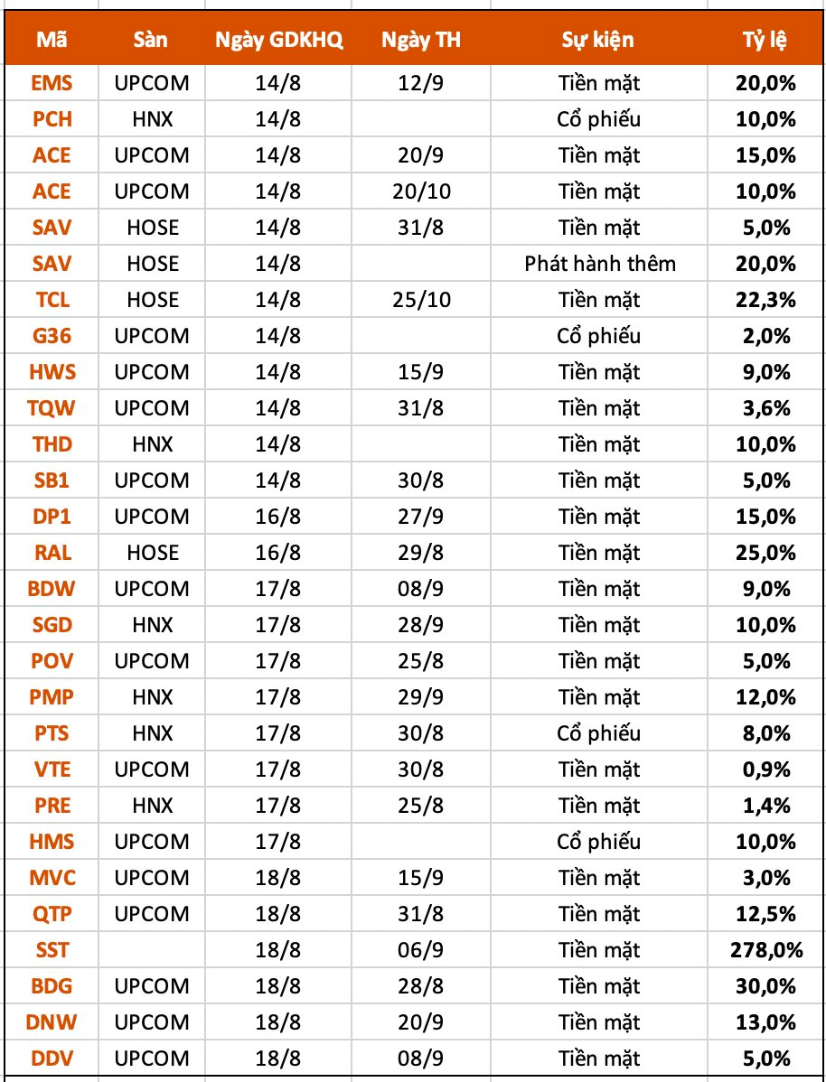 Lịch chốt quyền cổ tức tuần 14/8 – 18/8: Một doanh nghiệp chuẩn bị trả cổ tức tiền mặt tỷ lệ 278% - Ảnh 1.