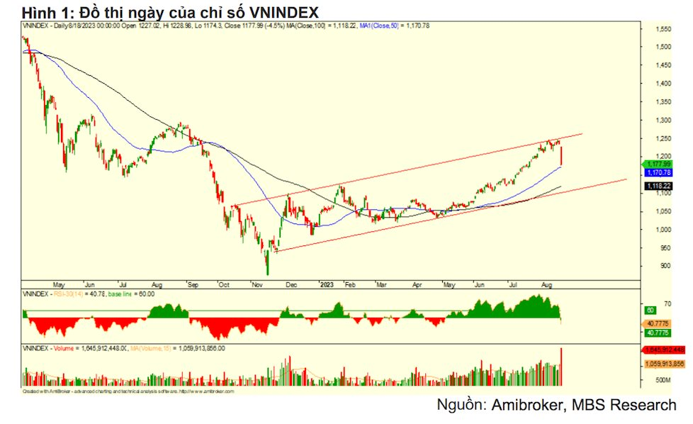 MBS: Mốc hỗ trợ mạnh và kỳ vọng VN-Index có thể tạo đáy ở vùng 1.130 - 1.140 điểm - Ảnh 1.