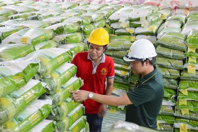 Không cần thiết áp giá sàn xuất khẩu gạo