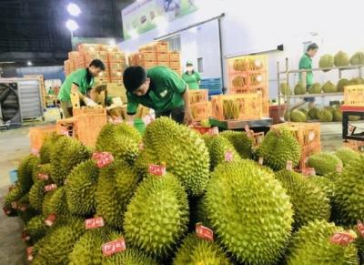 Trung Quốc chi tiền kỷ lục mua rau quả Việt Nam