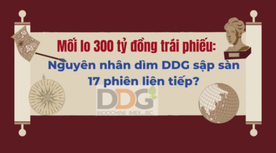 Mối lo 300 tỷ đồng trái phiếu: Nguyên nhân dìm DDG giảm sàn 17 phiên liên tiếp?