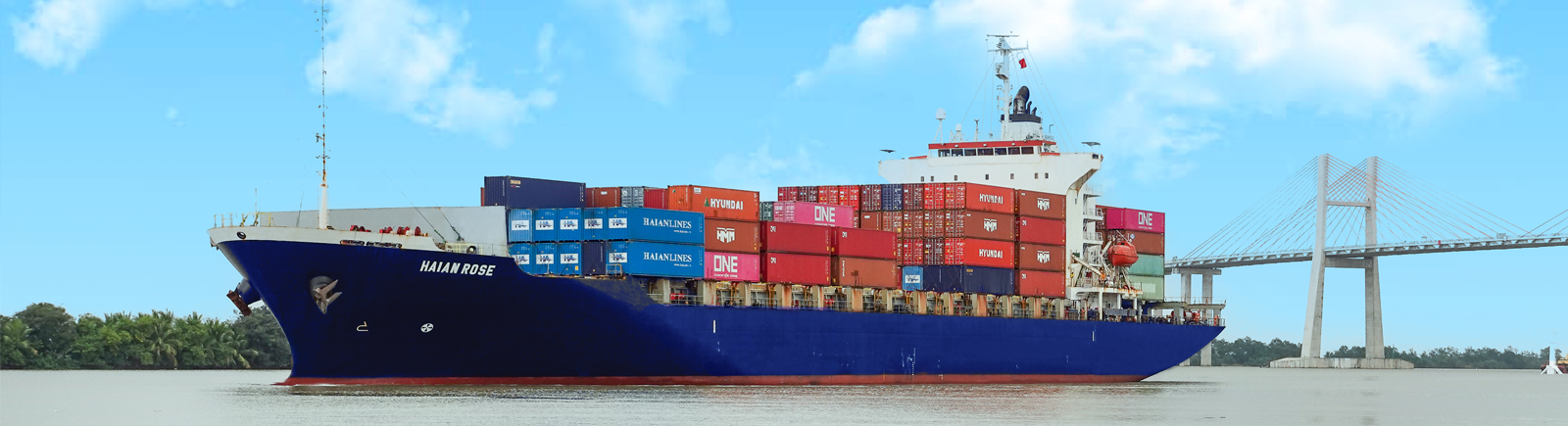Doanh nghiệp sở hữu đội tàu container hàng đầu Việt Nam: Chiếm gần 40% sức chở trong ngành vận tải container toàn quốc - Ảnh 1.