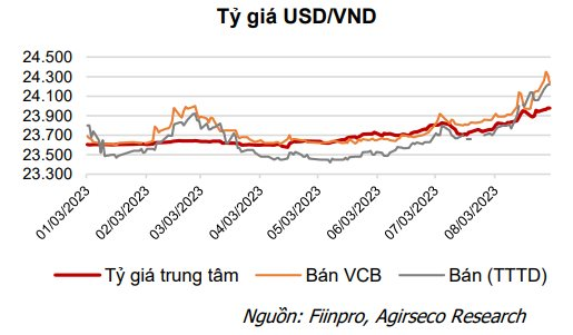 Agriseco: Dòng tiền tham gia thị trường chứng khoán dồi dào, cổ phiếu Bluechips sẽ được hưởng lợi lớn nhất - Ảnh 4.