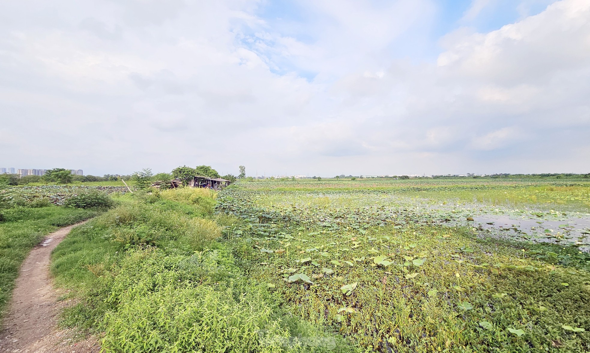 Gần 20 năm 'ôm đất' siêu dự án nhà ở sinh thái Đồng Mai thành nơi chăn bò, trạm bê tông 'lậu' - Ảnh 14.