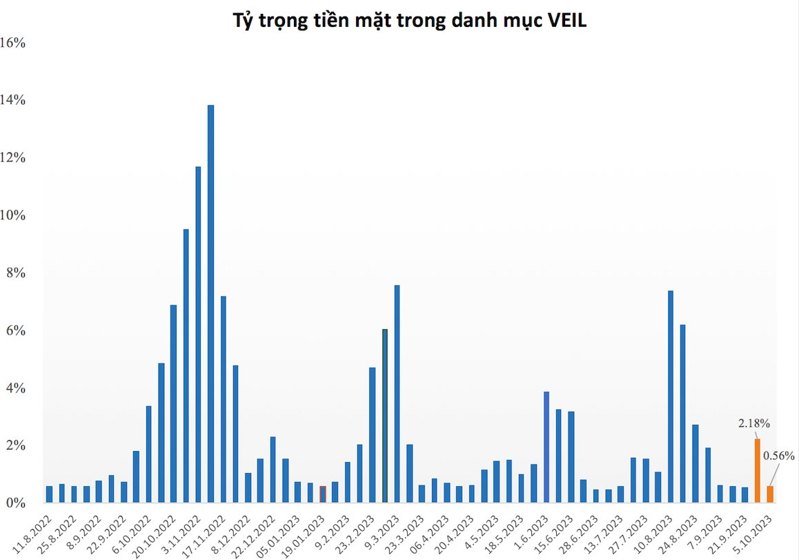 Quỹ tỷ USD do Dragon Capital quản lý trở lại trạng thái &quot;full cổ phiếu&quot; ngay trước nhịp hồi phục của VN-Index - Ảnh 1.