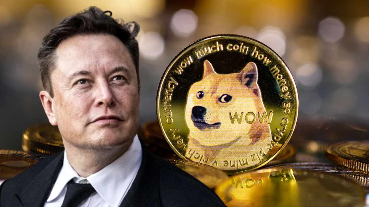 elon-musk-toi-chi-thich-dogecoin