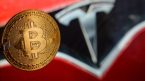 Tesla chuyển toàn bộ số Bitcoin trị giá 765 triệu USD vào ví không xác định