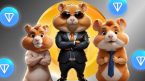 Sự khởi đầu thảm hại của Hamster Kombat, giá token HMSTR giảm 30% từ khi ra mắt