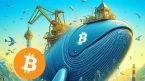 Liệu Bitcoin có tiếp tục tăng không? Các nhà phân tích chia sẻ kỳ vọng của họ