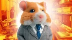 Hamster Kombat sẽ ra mắt NFT trong tháng tới, khối lượng thị trường NFT giảm mạnh