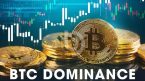 BTC Dominance là gì? Tổng hợp các điều cần biết về Bitcoin Dominance