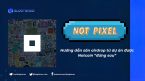 Not Pixel (PX) là gì? Hướng dẫn săn airdrop từ Not Pixel