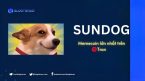 SUNDOG là gì? Memecoin có vốn hoá lớn nhất trên hệ Tron