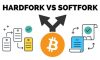 Fork, Soft Fork và Hard Fork là gì trong thị trường Crypto