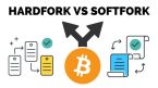 Fork, Soft Fork và Hard Fork là gì trong thị trường Crypto