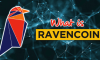 Ravencoin là gì? Thông tin về đồng tiền ảo RVN Coin