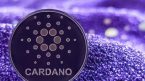 Polkadot chúc mừng Cardano nâng cấp Hard Fork thành công bằng một thông điệp bí ẩn