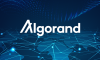 Algorand là gì? Tìm hiểu về đồng ALGO
