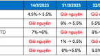 Chuyên gia: Nhịp điều chỉnh sẽ sớm xuất hiện, VN-Index chưa sẵn sàng cho một cuộc “chạy nước rút”