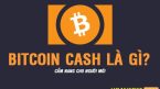 Bitcoin Cash (BCH) là gì? Ví Lưu Trữ ở đâu? Có nên đầu tư BCH không?