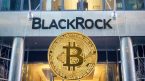 CIO BlackRock đưa ra tuyên bố thú vị về Bitcoin và tiền điện tử