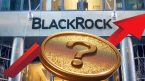 Altcoin này công bố dự án mới được BlackRock hỗ trợ, giá tăng mạnh gần 15%