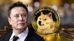 Elon Musk: ‘Tôi chỉ thích Dogecoin’