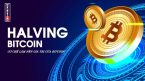 Bitcoin Halving là gì ? Nó có ý nghĩa gì với giá Bitcoin ?