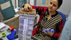 Đồng rupee Ấn Độ nhận thấy biến động cận biên trước khi RBI xem xét chính sách