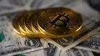 Bitcoin ngày 11/8: Giảm về 29.500 USD, SEC sẽ chấp thuận nhiều quỹ bitcoin ETF?