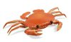 Mô hình con cua (Harmonic Crab) là gì?