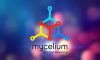 Ví Mycelium Wallet là gì? Hướng dẫn tạo và sử dụng ví Mycelium Wallet