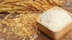 Giá lúa gạo hôm nay 24/4: Tăng ở một số địa phương