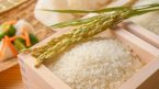 Giá lúa gạo hôm nay 29/3: Tăng với các loại gạo